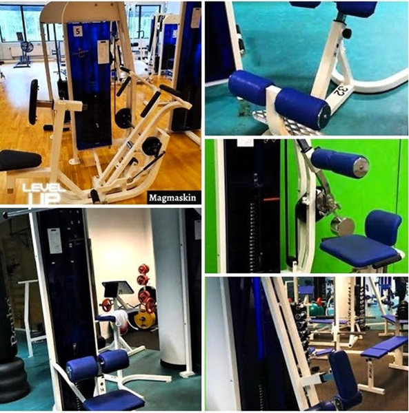 Gym i BRF-föreningen? - back-extension-ländryggsmaskin-cl-fitness-collage (2).jpg