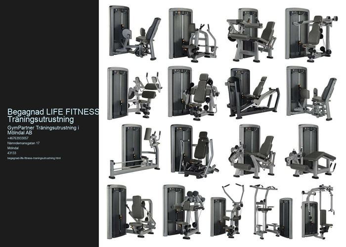 Gymutrustning och Kompletta Gym - Martin Maximus-The GymPartner LifeFitness.jpeg