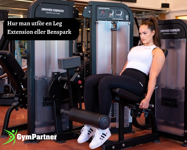 Hur man gör en Benspark i en Leg Extension gymmaskin