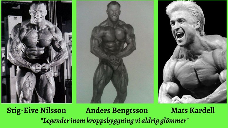 Vi på GymPartner som säljer Gymutrustning och som handlat kosttillskott hos MM Sports sedan starten 1992, då vi själva tränade med bla. Eive Nilsson, Anders Bengtsson och Mats Kardell.