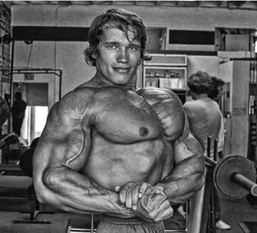 Arnold Schwarzenegger’s chest was a masterpiece of definition, size and shape