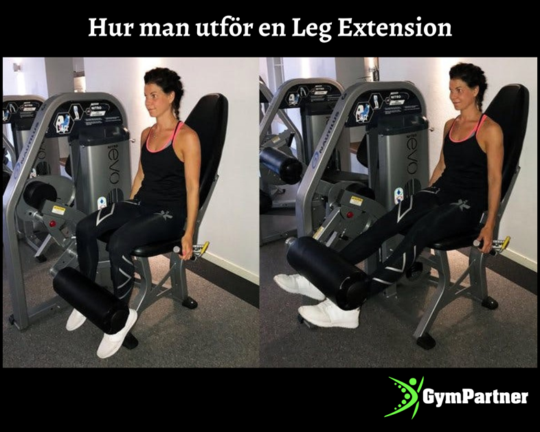 Benspark - Leg Extensions gymmaskin för nybörjare