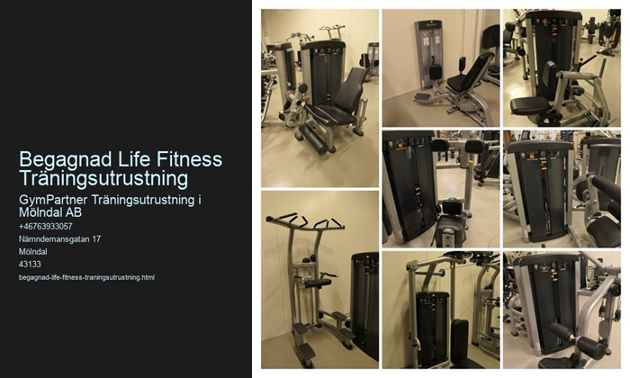 Gymutrustning och Kompletta Gym - life-fitness-insignia-back-extension-collage-6.jpg