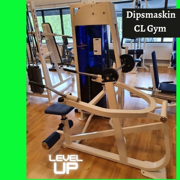 Dipsmaskin CL Fitness Tricepspress - Dipsmaskin Nordic Gym .jpg